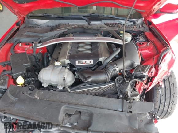 ✅ 2015 Ford Mustang GT • VIN: 1FA6P8CF9F5423665 • Lot: 43110117. Listed on IAAI with 83,501 mi. Free auction sales archive from the USA and detailed vehicle history report at DreamBid. Image 10.