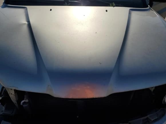 ✅ 2008 Mitsubishi Endeavor LS • VIN: 4A4MM21S78E022229 • Lot: 87315984. Wystawiony na Copart z przebiegiem 121 486 mil. Bezpłatny archiwum sprzedaży aukcyjnych z USA i szczegółowy raport historii pojazdu na DreamBid. Zdjęcie 14.