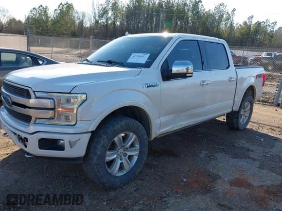 ✅ 2018 Ford F-150 XL • VIN: 1FTEW1E59JFB80124 • Lot: 41399527. Listed on IAAI with 161,880 mi. Free auction sales archive from the USA and detailed vehicle history report at DreamBid. Image 6.