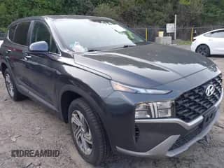 2021 Hyundai Santa Fe SE with VIN 5NMS1DAJ5MH349410, listed as a IAAI auction lot 42817117 with 57,364 mi miles and . Bid and sale history available at DreamBid. Image 1.