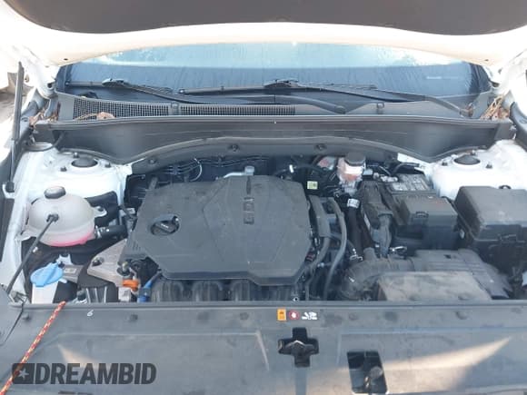 ✅ 2022 Hyundai Santa Fe SEL • VIN: 5NMS24AJ2NH455747 • Лот: 43516611. Опубликован ранее на IAAI с пробегом 17 562 миль. Бесплатный доступ к архиву аукционных продаж из США и подробный отчёт об истории автомобиля на DreamBid. Изображение 10.