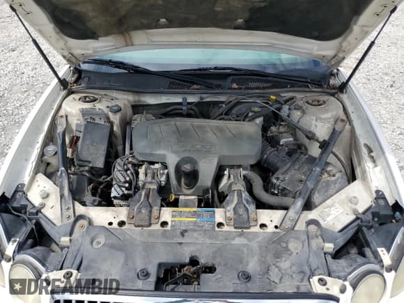 ✅ 2009 Buick LaCrosse CX • VIN: 2G4WC582891264116 • Lot: 69267644. Wystawiony na Copart z przebiegiem 122 666 mil. Bezpłatny archiwum sprzedaży aukcyjnych z USA i szczegółowy raport historii pojazdu na DreamBid. Zdjęcie 11.