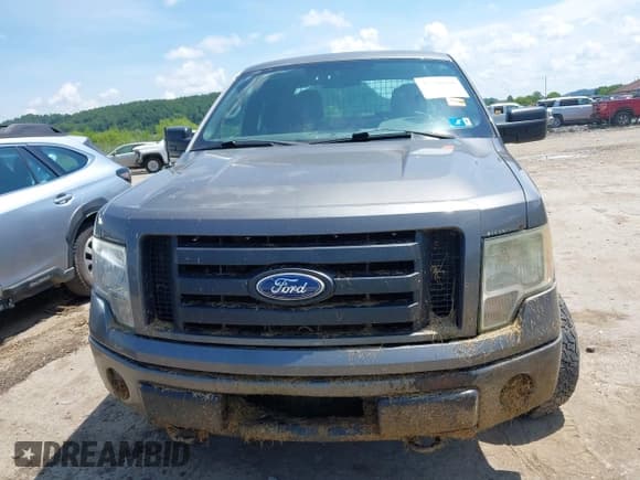 ✅ 2010 Ford F-150 XL • VIN: 1FTEX1EW3AFC76479 • Lot: 42586668. Listed on IAAI with 198,880 mi. Free auction sales archive from the USA and detailed vehicle history report at DreamBid. Image 13.