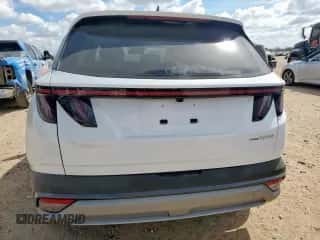 2025 Hyundai Tucson Limited with VIN KM8JEDD14SU345748, listed as a Copart auction lot 85488085 with 1,189 mi miles and Salvage title. Bid and sale history available at DreamBid. Image 6.