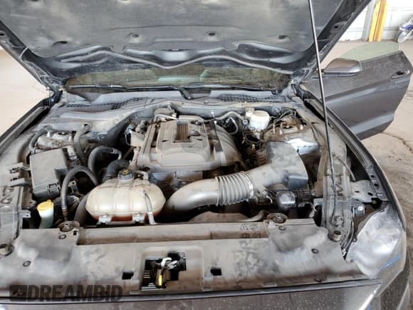 ✅ 2019 Ford Mustang EcoBoost • VIN: 1FA6P8TH9K5189796 • Lot: 89919255. Listed on Copart with 39,495 mi. Free auction sales archive from the USA and detailed vehicle history report at DreamBid. Image 11.