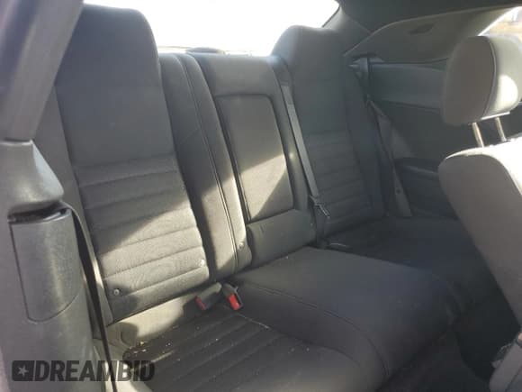 ✅ 2010 Dodge Challenger SE • VIN: 2B3CJ4DV1AH111856 • Lot: 78498304. Wystawiony na Copart z przebiegiem 170 755 mil. Bezpłatny archiwum sprzedaży aukcyjnych z USA i szczegółowy raport historii pojazdu na DreamBid. Zdjęcie 10.