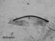 2021 Hyundai Tucson Limited with VIN KM8J3CAL1MU380871, listed as a Copart auction lot 82247005 with 27,227 mi miles and Salvage title. Bid and sale history available at DreamBid. Image 13.