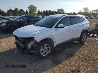 ✅ 2023 Hyundai Tucson SEL • VIN: 5NMJBCAE9PH257503 • Lot: 81494695. Wystawiony na Copart z przebiegiem 55 286 mil. Bezpłatny archiwum sprzedaży aukcyjnych z USA i szczegółowy raport historii pojazdu na DreamBid. Zdjęcie 1.