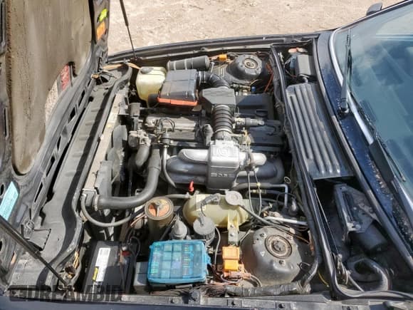 ✅ 1988 BMW 6 Series • VIN: WBAEC8415J3266688 • Lot: 61446165. Wystawiony na Copart z przebiegiem 179 364 mil. Bezpłatny archiwum sprzedaży aukcyjnych z USA i szczegółowy raport historii pojazdu na DreamBid. Zdjęcie 11.