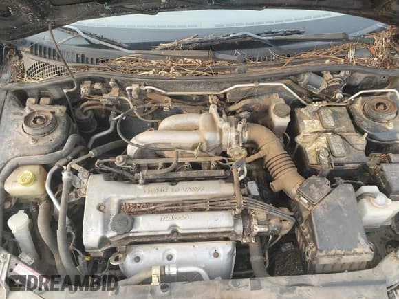 ✅ 1997 Mazda Protege DX • VIN: JM1BC1418V0165780 • Lot: 42735711. Wystawiony na IAAI z przebiegiem 65 652 mil. Bezpłatny archiwum sprzedaży aukcyjnych z USA i szczegółowy raport historii pojazdu na DreamBid. Zdjęcie 10.