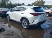 ✅ 2025 Lexus NX 350 Luxury • VIN: 2T2HGCEZ5SC080407 • Лот: 43490175. Опубликован ранее на IAAI с пробегом 6 860 миль. Бесплатный доступ к архиву аукционных продаж из США и подробный отчёт об истории автомобиля на DreamBid. Изображение 3.