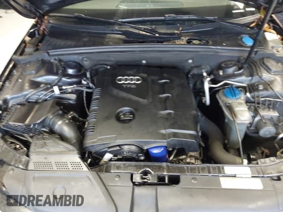 ✅ 2015 Audi A4 Premium Plus • VIN: WAUFFAFL7FN004054 • Лот: 43559295. Опубликован ранее на IAAI с пробегом 147 073 миль. Бесплатный доступ к архиву аукционных продаж из США и подробный отчёт об истории автомобиля на DreamBid. Изображение 10.