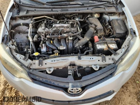 ✅ 2014 Toyota Corolla LE Premium • VIN: 2T1BURHEXEC103358 • Lot: 91842285. Wystawiony na Copart z przebiegiem 248 229 mil. Bezpłatny archiwum sprzedaży aukcyjnych z USA i szczegółowy raport historii pojazdu na DreamBid. Zdjęcie 11.