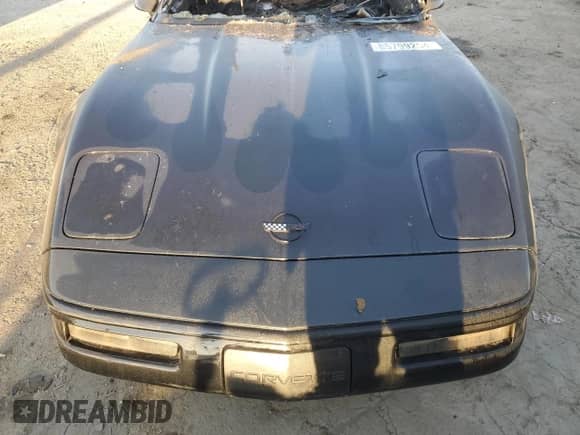 1992 Chevrolet Corvette z VIN 1G1YY23P6N5100414, wystawiony jako Copart lot #85799254 z przebiegiem Nie podano mil oraz Nie do naprawy • Non repairable. Historia ofert i sprzedaży dostępna na DreamBid. Obrazek 12.