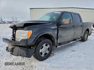 ✅ 2013 Ford F-150 FX4 • VIN: 1FTFW1EF6DFB70104 • Lot: 94943785. Listed on Copart with 300,348 mi. Free auction sales archive from the USA and detailed vehicle history report at DreamBid. Image 1.