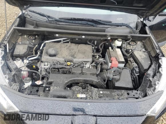 ✅ 2019 Toyota RAV4 XLE Premium • VIN: JTMC1RFV1KD500696 • Lot: 92114155. Wystawiony na Copart z przebiegiem 31 792 mil. Bezpłatny archiwum sprzedaży aukcyjnych z USA i szczegółowy raport historii pojazdu na DreamBid. Zdjęcie 12.