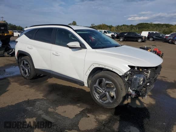 2022 Hyundai Tucson SEL with VIN KM8JBDA23NU038694, listed as a Copart auction lot 71923945 with 42,498 mi miles and Salvage title. Bid and sale history available at DreamBid. Image 4.