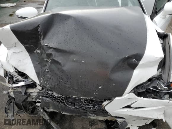 ✅ 2018 Lexus IS 350 • VIN: JTHCZ1D21J5014805 • Lot: 61384665. Listed on Copart with 3,559 mi. Free auction sales archive from the USA and detailed vehicle history report at DreamBid. Image 11.