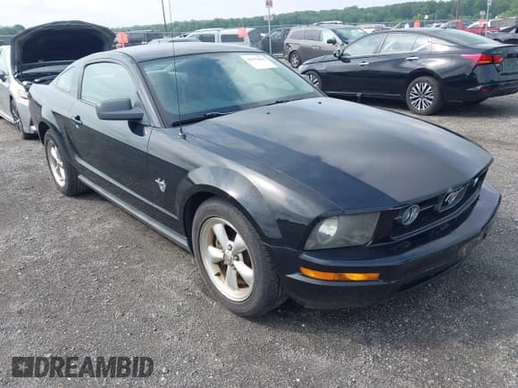 ✅ 2009 Ford Mustang • VIN: 1ZVHT80N295145154 • Lot: 42979066. Listed on IAAI with 124,851 mi. Free auction sales archive from the USA and detailed vehicle history report at DreamBid. Image 1.