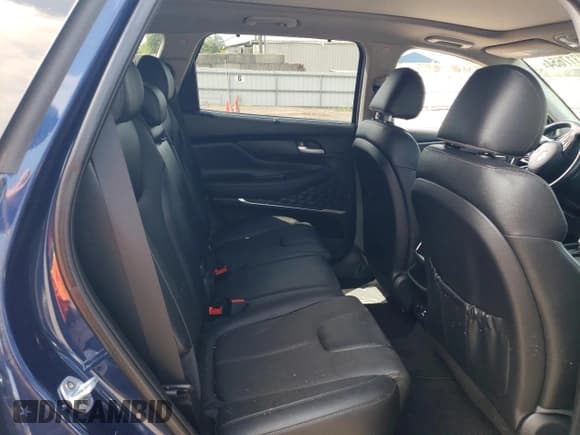 ✅ 2019 Hyundai Santa Fe Ultimate • VIN: 5NMS5CADXKH035628 • Lot: 68317654. Wystawiony na Copart z przebiegiem Nie podano. Bezpłatny archiwum sprzedaży aukcyjnych z USA i szczegółowy raport historii pojazdu na DreamBid. Zdjęcie 11.