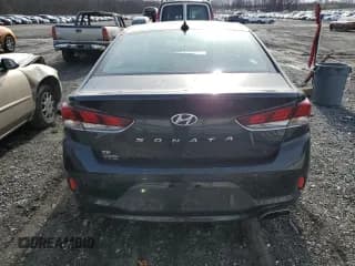 ✅ 2019 Hyundai Sonata SE • VIN: 5NPE24AF2KH818118 • Лот: 70949702. Опубликован ранее на Copart с пробегом 35 553 миль. Бесплатный доступ к архиву аукционных продаж из США и подробный отчёт об истории автомобиля на DreamBid. Изображение 6.
