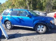 ✅ 2011 Ford Escape XLT • VIN: 1FMCU9D74BKA51842 • Лот: 43370302. Опубликован ранее на IAAI с пробегом 130 966 миль. Бесплатный доступ к архиву аукционных продаж из США и подробный отчёт об истории автомобиля на DreamBid. Изображение 13.