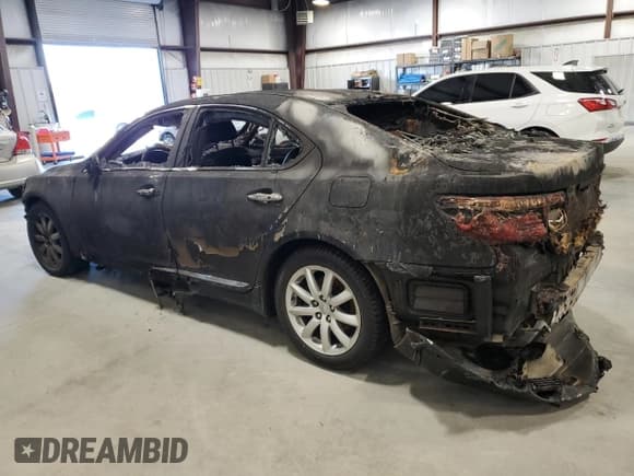 ✅ 2009 Lexus LS 460 • VIN: JTHBL46F495089623 • Лот: 48128705. Опубликован ранее на Copart с пробегом Не указан. Бесплатный доступ к архиву аукционных продаж из США и подробный отчёт об истории автомобиля на DreamBid. Изображение 2.