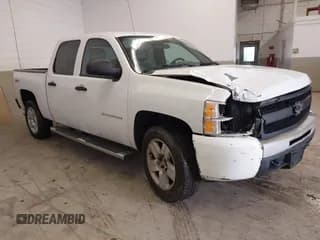 ✅ 2010 Chevrolet Silverado 1500 Work Truck • VIN: 3GCRKPE32AG111157 • Lot: 41078646. Listed on IAAI with 224,216 mi. Free auction sales archive from the USA and detailed vehicle history report at DreamBid. Image 1.