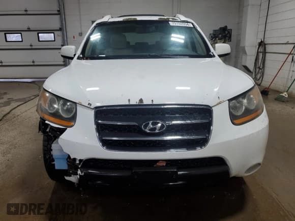 ✅ 2008 Hyundai Santa Fe SE • VIN: 5NMSH13E98H185076 • Lot: 79198994. Listed on Copart with 239,334 mi. Free auction sales archive from the USA and detailed vehicle history report at DreamBid. Image 5.