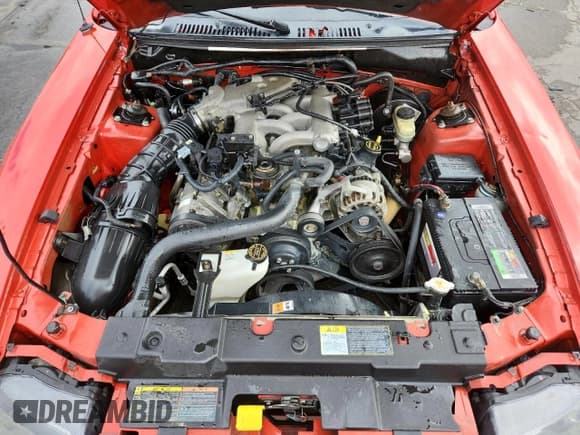 ✅ 2001 Ford Mustang Deluxe • VIN: 1FAFP44421F129579 • Lot: 70391535. Listed on Copart with 100,565 mi. Free auction sales archive from the USA and detailed vehicle history report at DreamBid. Image 11.