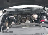 ✅ 2009 Dodge 1500 Sport • VIN: 1D3HV18TX9S768554 • Lot: 43699963. Listed on IAAI with 60,653 mi. Free auction sales archive from the USA and detailed vehicle history report at DreamBid. Image 10.