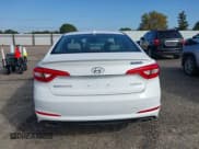 ✅ 2017 Hyundai Sonata Sport • VIN: 5NPE34AF4HH466066 • Лот: 43497421. Опубликован ранее на IAAI с пробегом 29 199 миль. Бесплатный доступ к архиву аукционных продаж из США и подробный отчёт об истории автомобиля на DreamBid. Изображение 17.