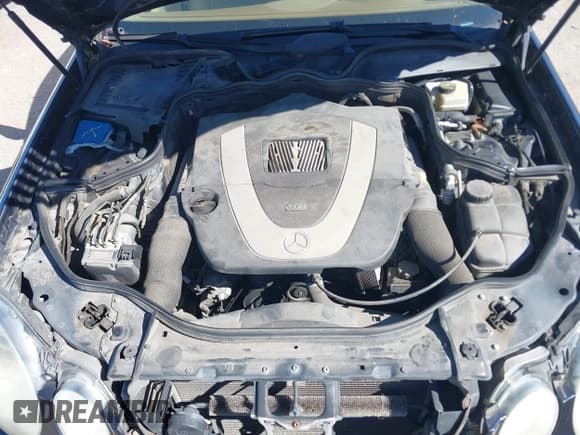 ✅ 2008 Mercedes-Benz E 350 Luxury • VIN: WDBUF56X68B246468 • Lot: 43589607. Wystawiony na IAAI z przebiegiem 146 176 mil. Bezpłatny archiwum sprzedaży aukcyjnych z USA i szczegółowy raport historii pojazdu na DreamBid. Zdjęcie 10.