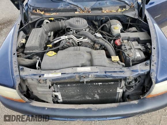 2002 Dodge Dakota z VIN 1B7GG32X12S601124, wystawiony jako Copart lot #85401325 z przebiegiem 172 777 mil mil oraz Czysty tytuł • Clean title. Historia ofert i sprzedaży dostępna na DreamBid. Obrazek 11.