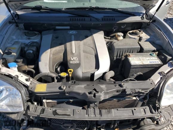 ✅ 2005 Hyundai Santa Fe GLS • VIN: KM8SC13E05U941201 • Lot: 91001145. Listed on Copart with 122,003 mi. Free auction sales archive from the USA and detailed vehicle history report at DreamBid. Image 12.