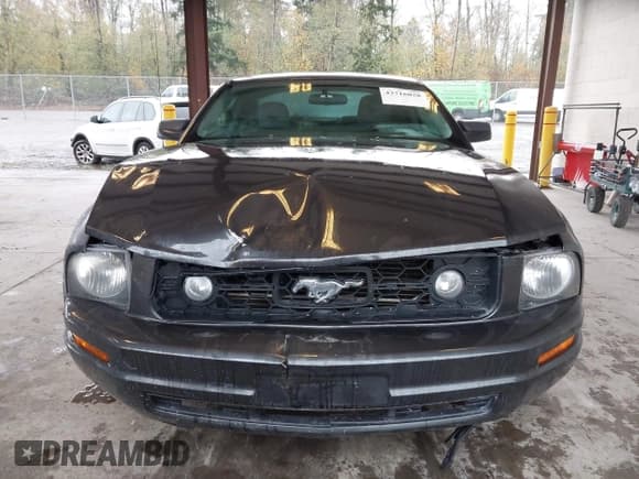 ✅ 2007 Ford Mustang Deluxe • VIN: 1ZVHT80NX75349309 • Lot: 43716028. Listed on IAAI with 148,642 mi. Free auction sales archive from the USA and detailed vehicle history report at DreamBid. Image 12.