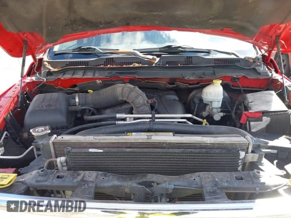 ✅ 2010 Dodge 1500 SLT • VIN: 1D7RB1GT7AS214678 • Lot: 41635619. Wystawiony na IAAI z przebiegiem 139 676 mil. Bezpłatny archiwum sprzedaży aukcyjnych z USA i szczegółowy raport historii pojazdu na DreamBid. Zdjęcie 10.