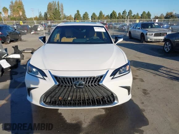 ✅ 2023 Lexus ES 350 • VIN: 58ADZ1B18PU155941 • Lot: 43503696. Listed on IAAI with 32,946 mi. Free auction sales archive from the USA and detailed vehicle history report at DreamBid. Image 13.