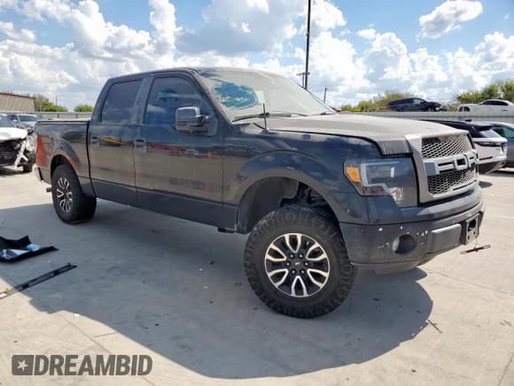 ✅ 2012 Ford F-150 XLT • VIN: 1FTEW1CM6CFB58272 • Lot: 85707935. Listed on Copart with 206,844 mi. Free auction sales archive from the USA and detailed vehicle history report at DreamBid. Image 4.