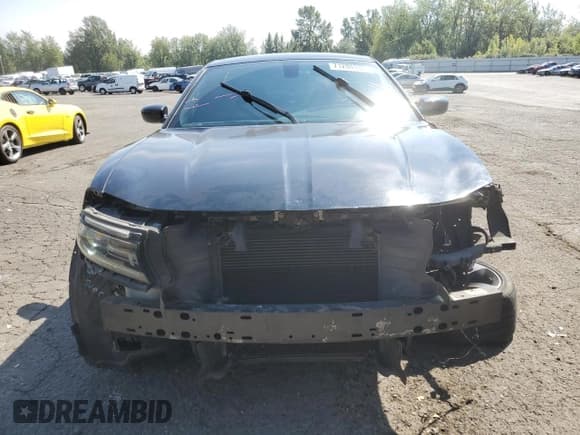 ✅ 2015 Dodge Charger RT • VIN: 2C3CDXCT5FH919162 • Лот: 71204385. Опубликован ранее на Copart с пробегом 89 309 миль. Бесплатный доступ к архиву аукционных продаж из США и подробный отчёт об истории автомобиля на DreamBid. Изображение 5.