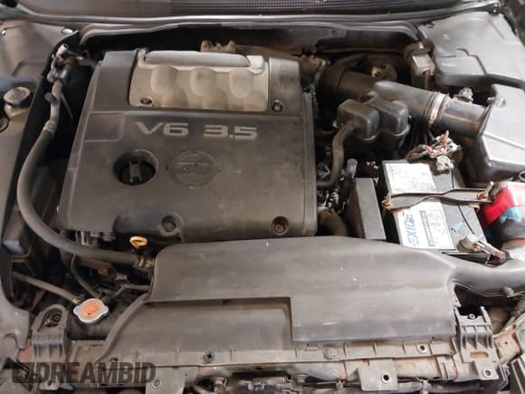 ✅ 2008 Nissan Maxima SE • VIN: 1N4BA41E48C801277 • Lot: 42535249. Listed on IAAI with 123,598 mi. Free auction sales archive from the USA and detailed vehicle history report at DreamBid. Image 10.