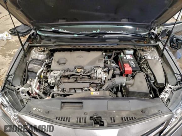 ✅ 2019 Toyota Camry SE • VIN: 4T1B11HK2KU807337 • Лот: 95419575. Опубликован ранее на Copart с пробегом 43 109 миль. Бесплатный доступ к архиву аукционных продаж из США и подробный отчёт об истории автомобиля на DreamBid. Изображение 11.