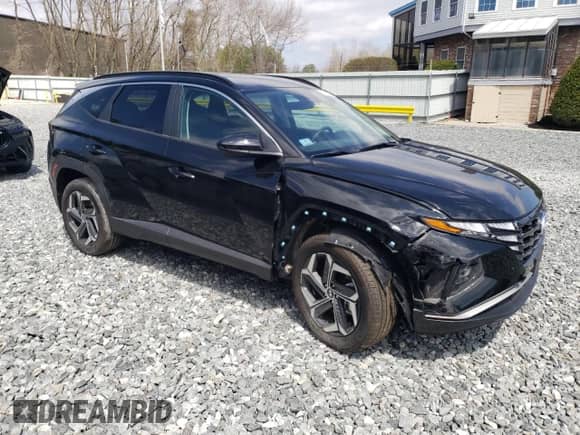 2024 Hyundai Tucson SEL с VIN KM8JBDD20RU218037, выставлен на аукционе Copart как лот 54162505 с пробегом 239 миль миль и Списание • Salvage title. История ставок и продаж доступна на DreamBid. Изображение 4.