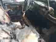 1991 Dodge Dakota with VIN 1B7FL26Y7MS253725, listed as a IAAI auction lot 43037024 with Not provided miles and . Bid and sale history available at DreamBid. Image 5.