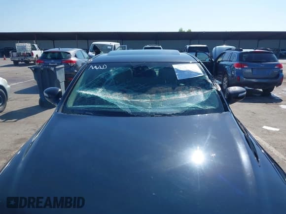 ✅ 2013 Hyundai Genesis 3.8L • VIN: KMHGC4DD2DU228313 • Лот: 42173874. Опубликован ранее на IAAI с пробегом 101 504 миль. Бесплатный доступ к архиву аукционных продаж из США и подробный отчёт об истории автомобиля на DreamBid. Изображение 6.