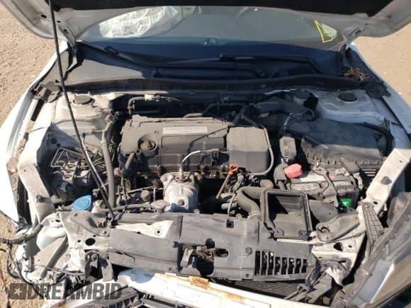 2014 Honda Accord LX with VIN 1HGCR2F36EA028338, listed as a Copart auction lot 85107655 with 126,241 mi miles and Salvage title. Bid and sale history available at DreamBid. Image 11.