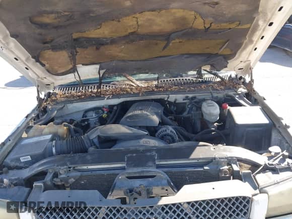 2004 Chevrolet Silverado 1500 Work Truck z VIN 1GCEC14V44Z314647, wystawiony jako IAAI lot #43253243 z przebiegiem Nie podano mil oraz . Historia ofert i sprzedaży dostępna na DreamBid. Obrazek 10.