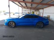 ✅ 2021 Ford Mustang GT • VIN: 1FA6P8CFXM5101257 • Lot: 42207879. Listed on IAAI with 37,036 mi. Free auction sales archive from the USA and detailed vehicle history report at DreamBid. Image 14.