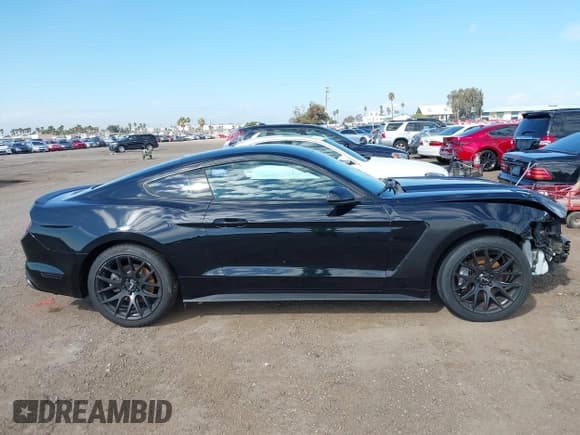 ✅ 2016 Ford Mustang EcoBoost • VIN: 1FA6P8TH0G5242716 • Lot: 43273891. Wystawiony na IAAI z przebiegiem 167 668 mil. Bezpłatny archiwum sprzedaży aukcyjnych z USA i szczegółowy raport historii pojazdu na DreamBid. Zdjęcie 13.