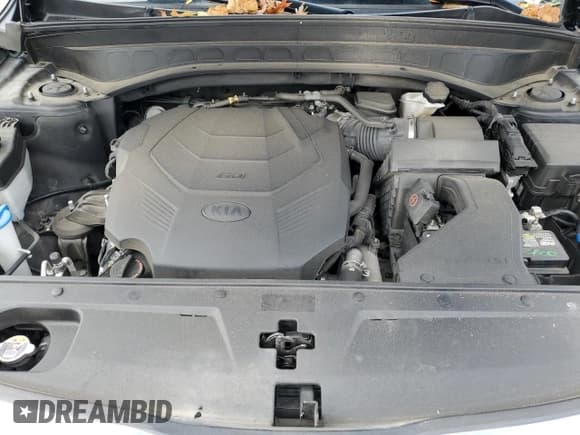 ✅ 2021 Kia Telluride S • VIN: 5XYP64HC8MG130465 • Lot: 81657965. Wystawiony na Copart z przebiegiem 98 442 mil. Bezpłatny archiwum sprzedaży aukcyjnych z USA i szczegółowy raport historii pojazdu na DreamBid. Zdjęcie 12.